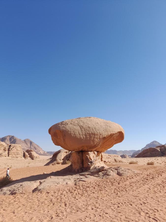 Wadi Rum Camels Camp 外观 照片