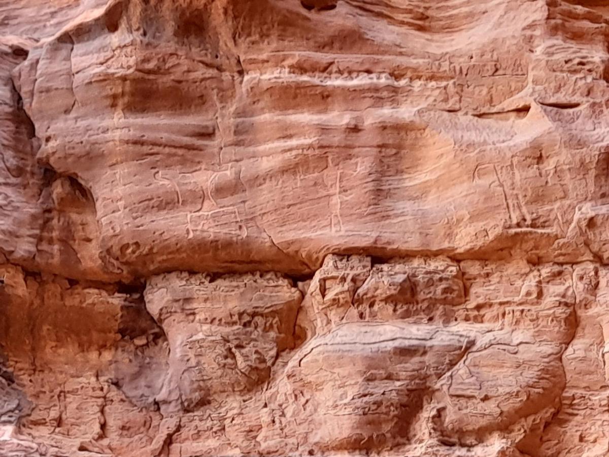 Wadi Rum Camels Camp 外观 照片